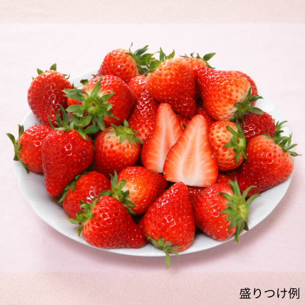 [産直便]いちごさん【ご注文締切:2026年2月24日】