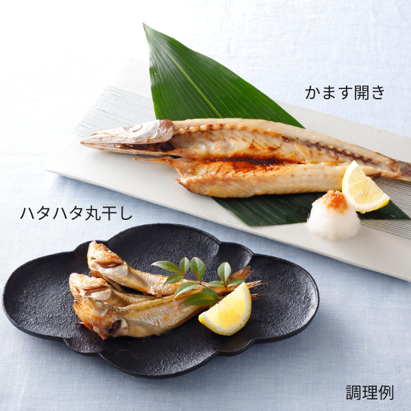 [産直便]かますとハタハタの干物2種セット