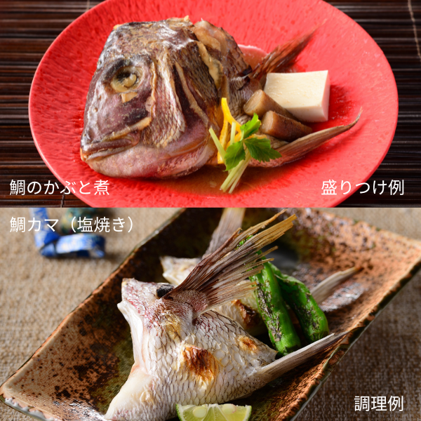 [産直便]ゆら鯛 鯛かぶと煮・鯛カマセット