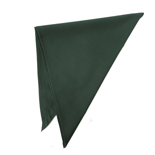 三角巾(グリーン)の商品画像です